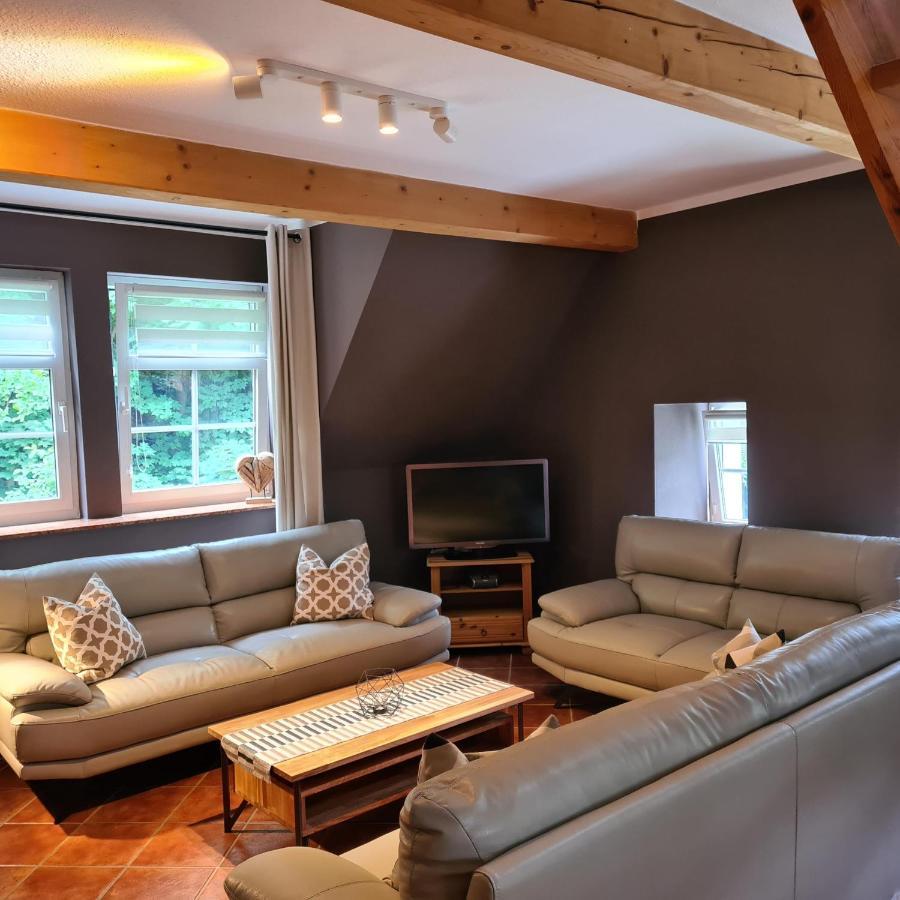 Appartements im Landhaus am Frohnauer Hammer Annaberg-Buchholz Exterior foto